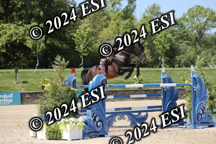 722GAB19761