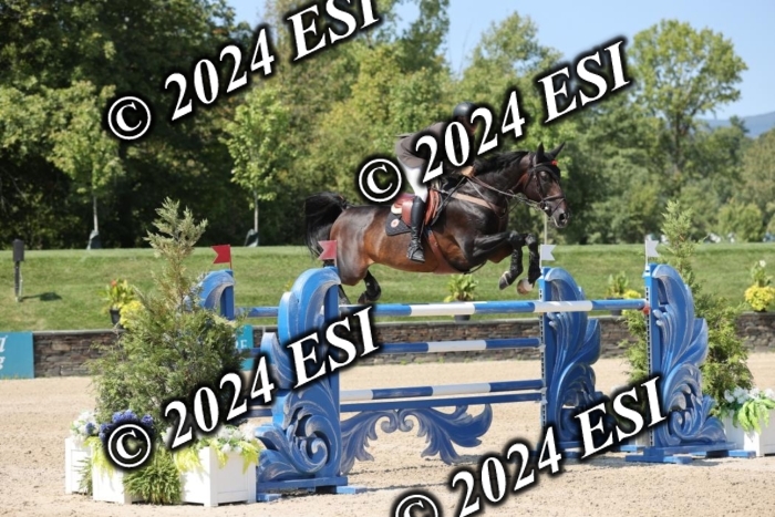722GAB19763