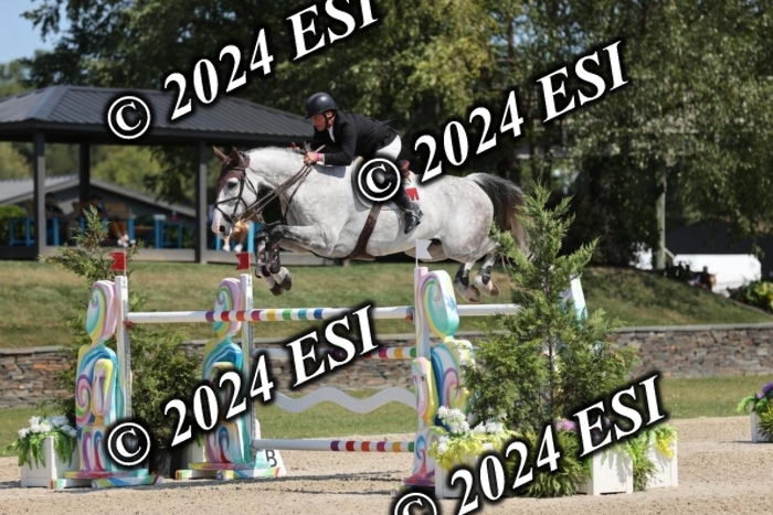722GAB19784