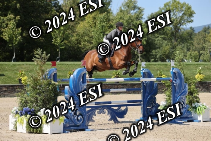 722GAB19795