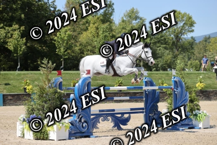 722GAB19809