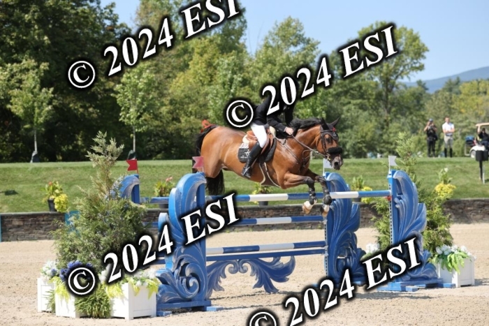 722GAB19828