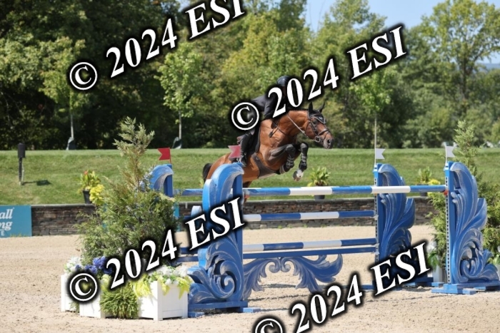 722GAB19838