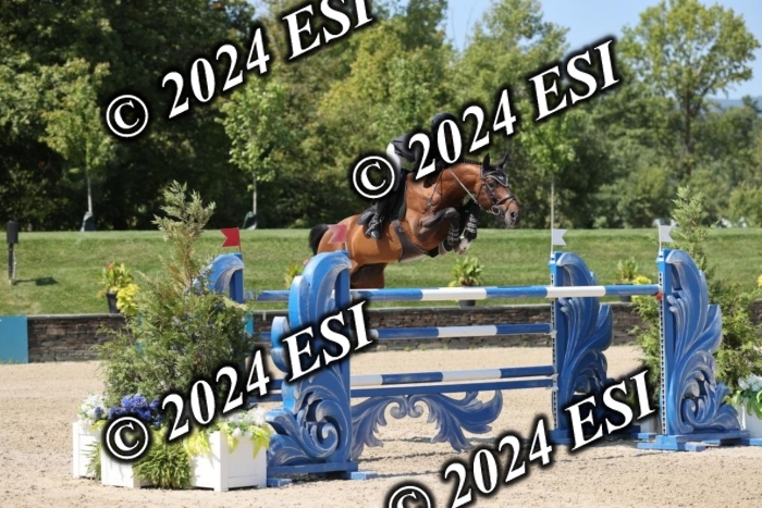 722GAB19839