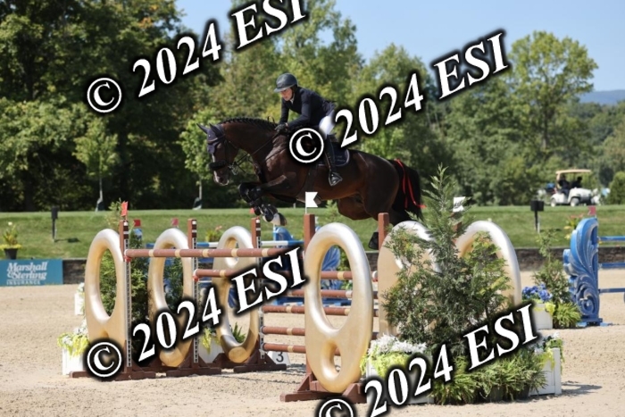 722GAB19860
