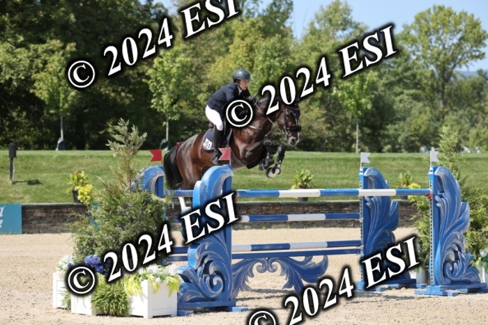 722GAB19862