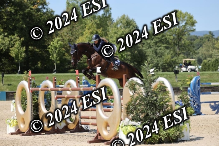 722GAB19869
