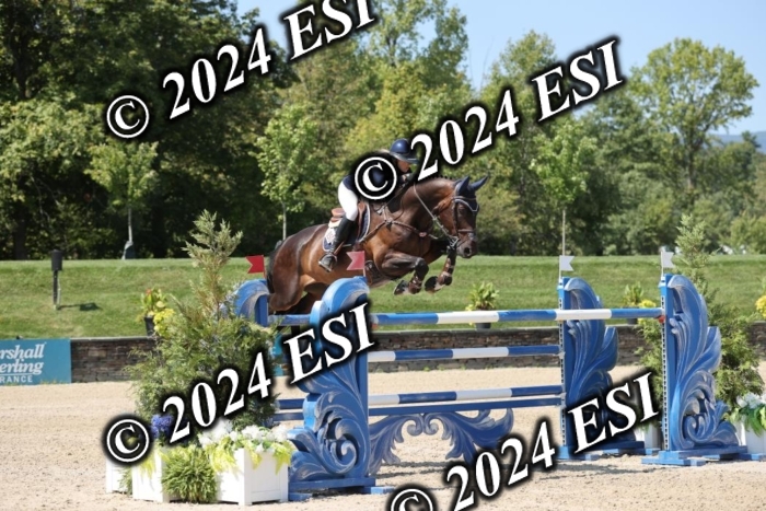 722GAB19873