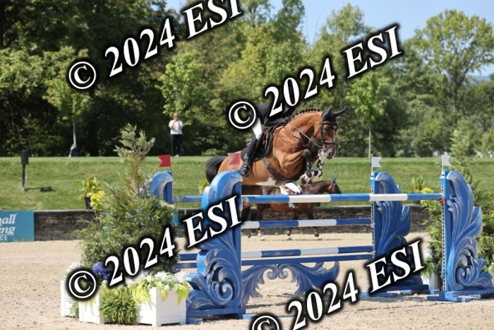 722GAB19885