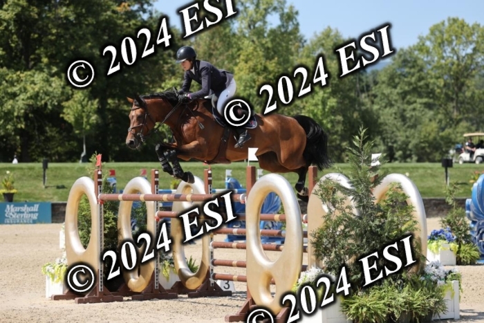 722GAB19895