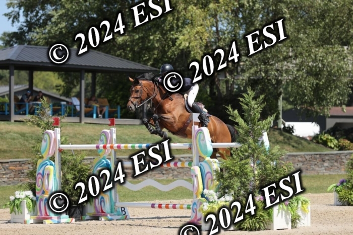 722GAB19900