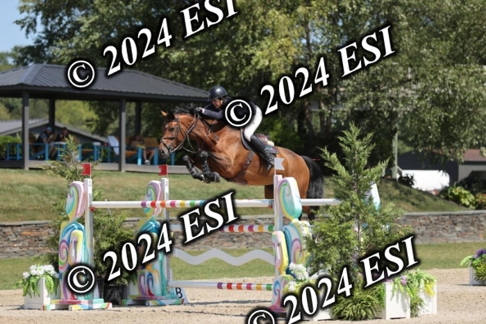 722GAB19901