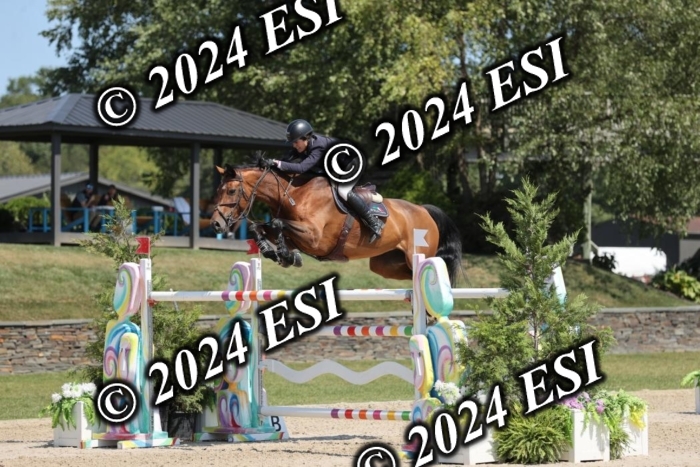 722GAB19902