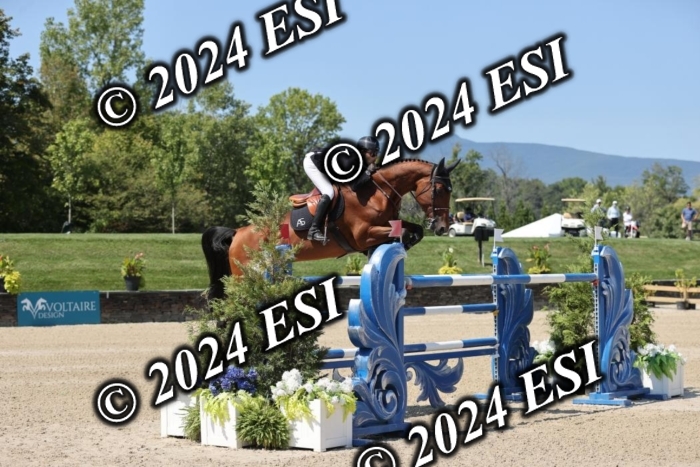 722GAB19905