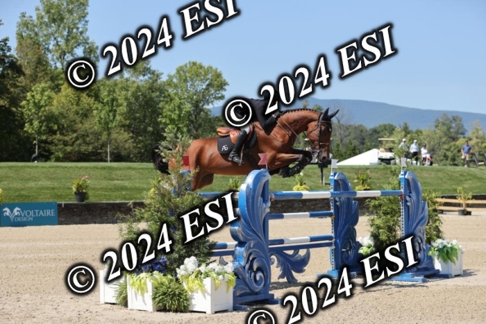 722GAB19906
