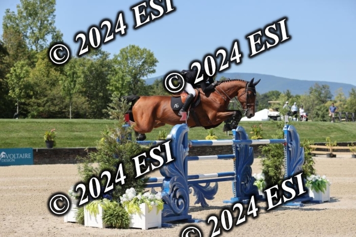 722GAB19907