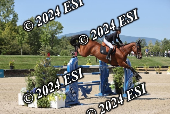 722GAB19910