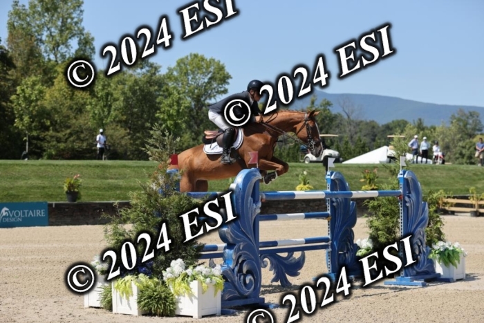722GAB19913