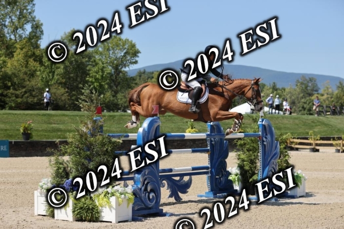 722GAB19916