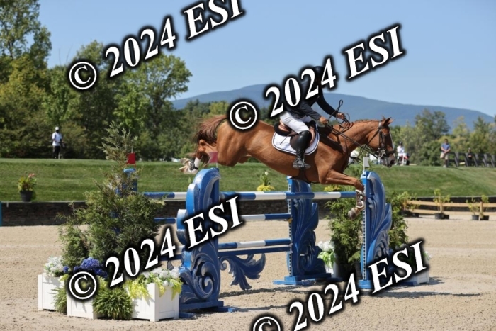 722GAB19917