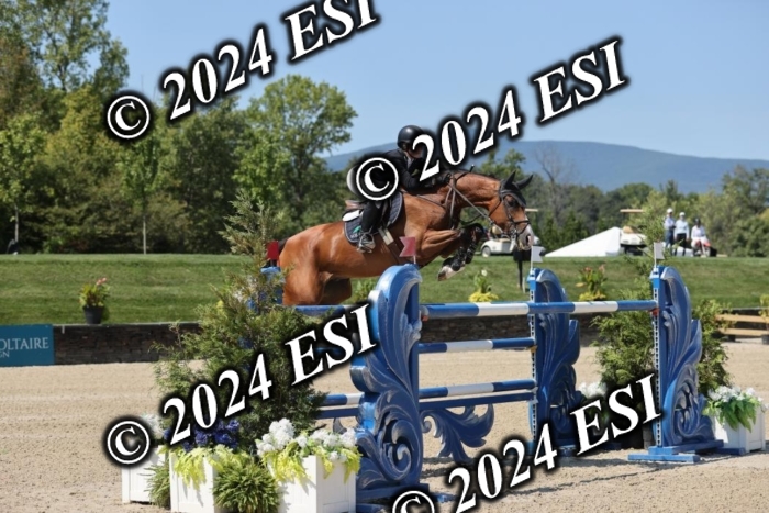 722GAB19919