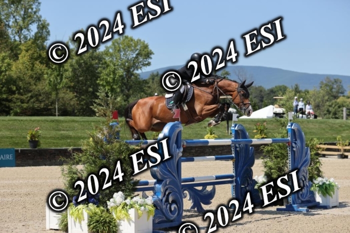 722GAB19920