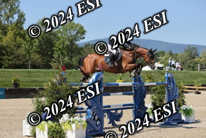 722GAB19921