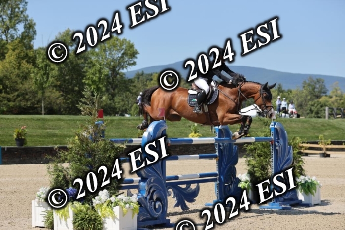 722GAB19922