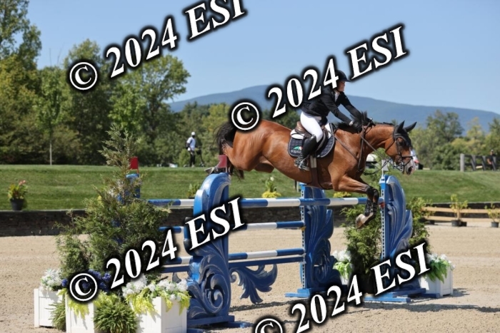 722GAB19923