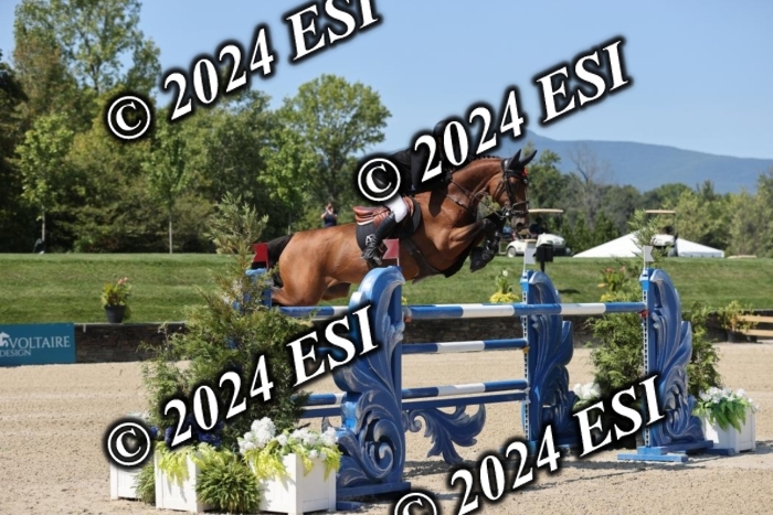 722GAB19925