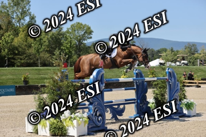 722GAB19943