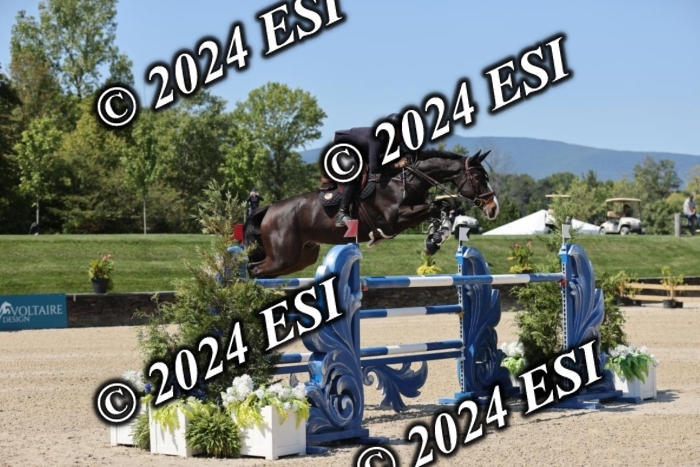 722GAB19946