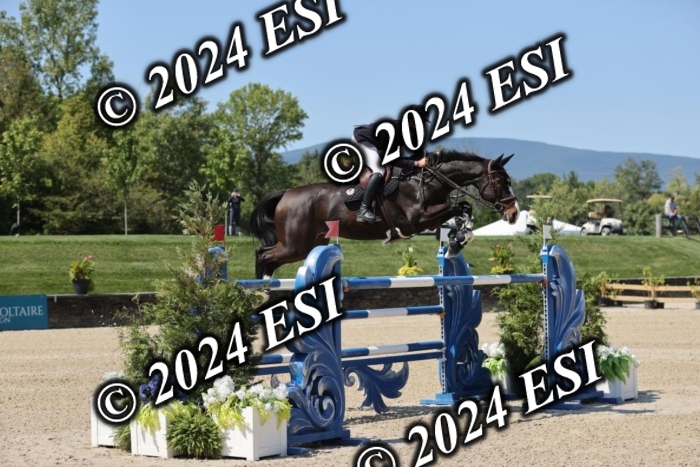 722GAB19947