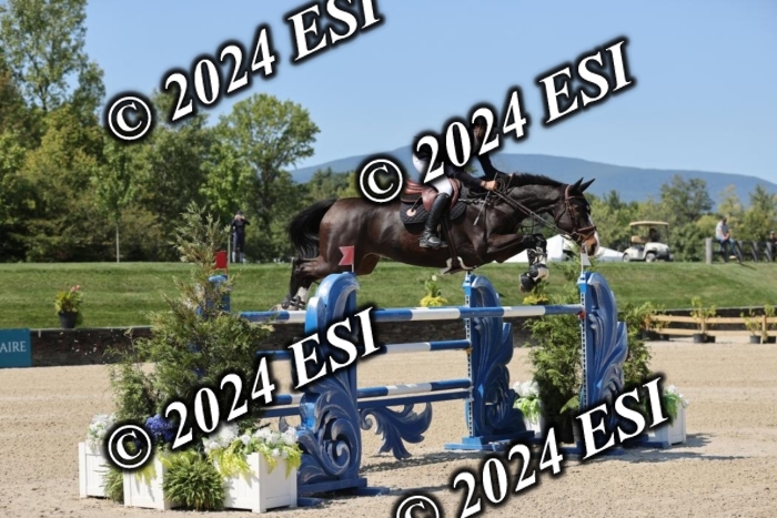 722GAB19948