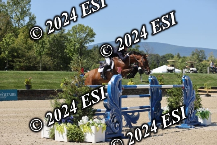 722GAB19950