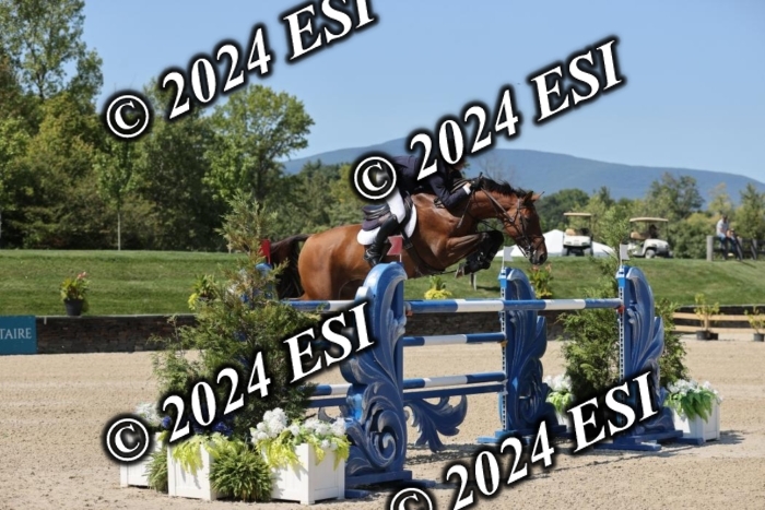 722GAB19951