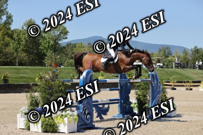 722GAB19953
