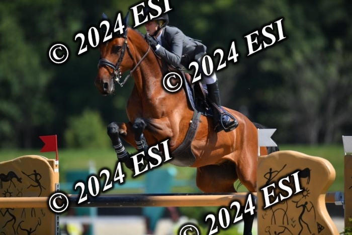 722DG1_0938