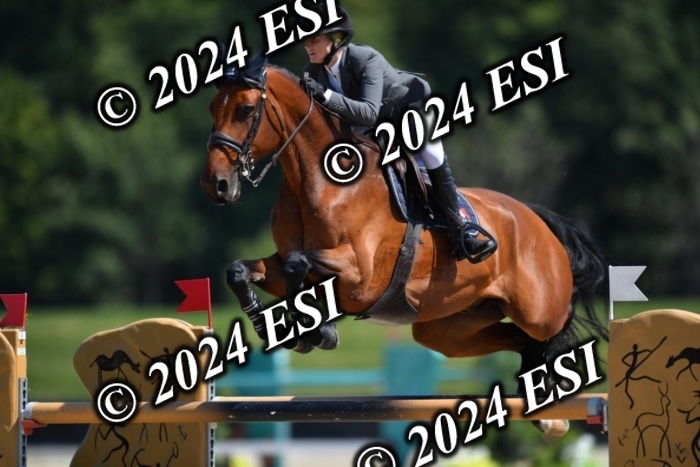 722DG1_0939