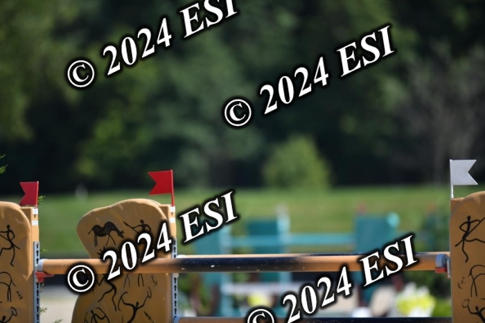 722DG1_0946
