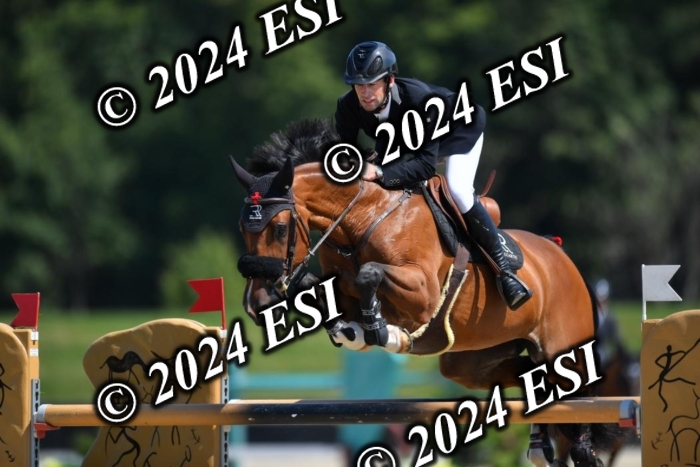 722DG1_0952