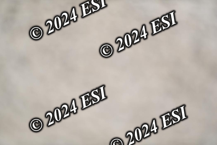 722DG1_0984