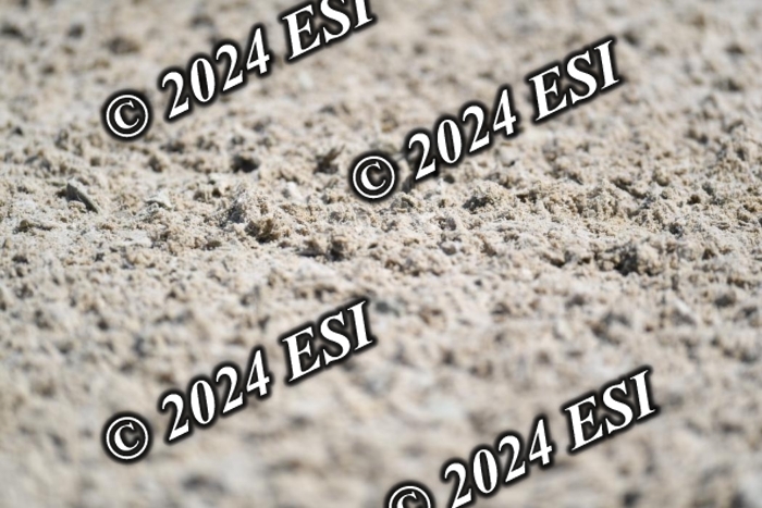 722DG1_0985