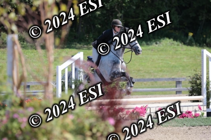 515SC1_2196
