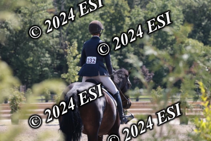 515SC1_2219