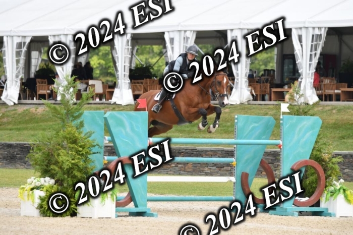 417DK1_3279