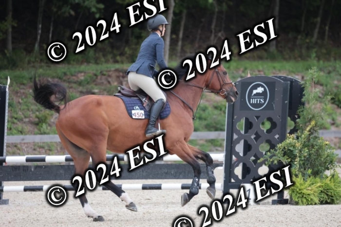206SC1_2797