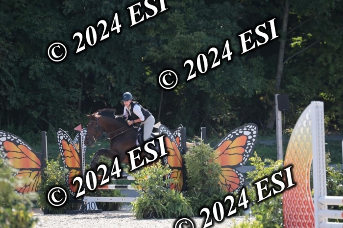 206SC1_3087