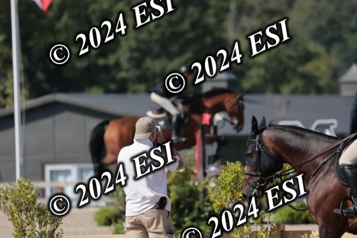 206SC1_3134