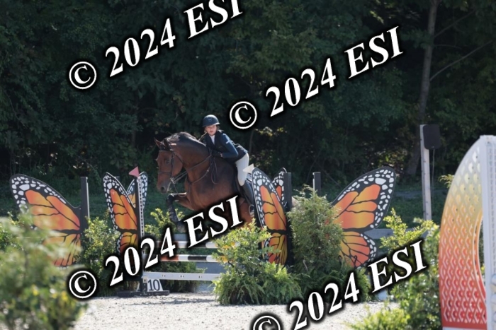 206SC1_3183